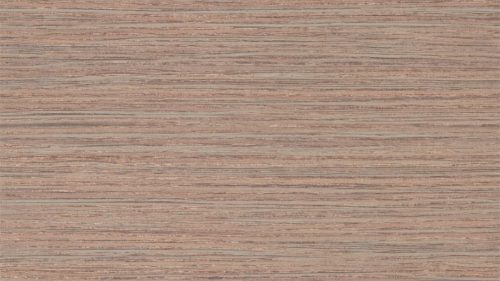 Oralia 111439